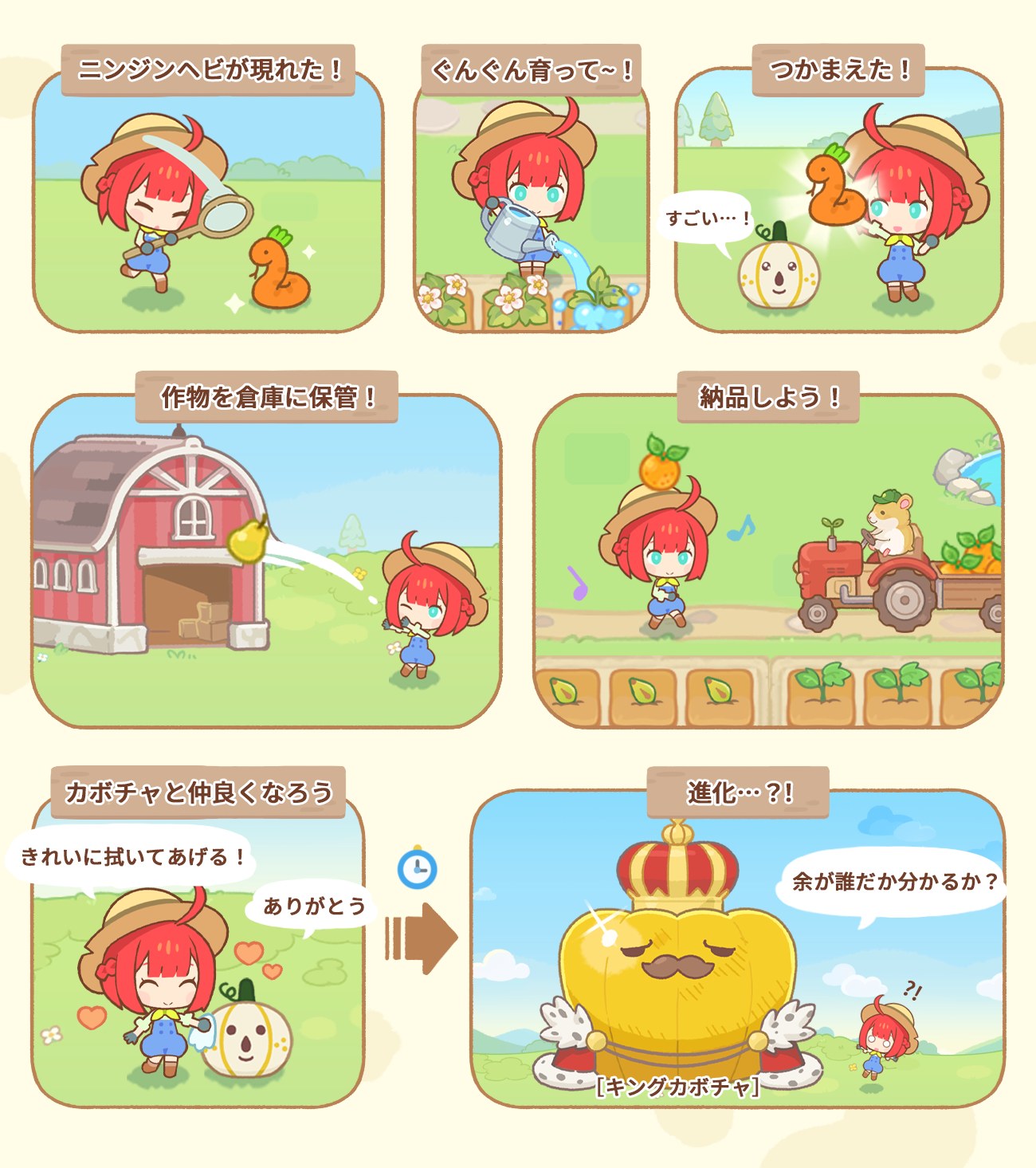 丹精込めて育てたカボチャがキングカボチャに進化する過程