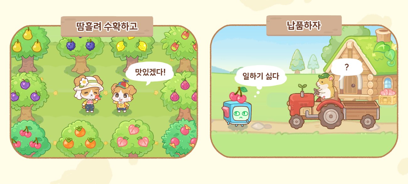 과수원에서 과일을 수확하고 납품을 준비하는 모습