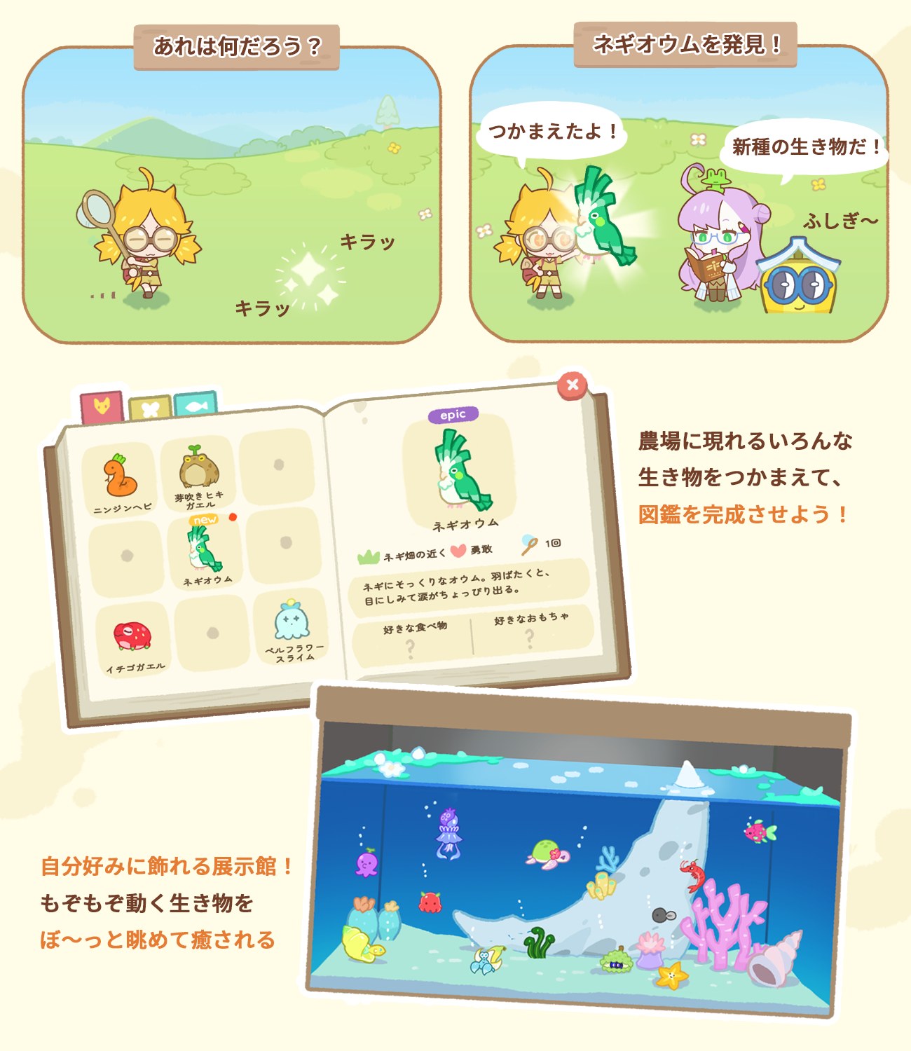 生き物を捕まえて図鑑に登録し、展示館に展示する様子